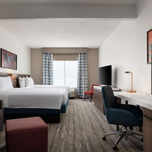 Evolution Queen Junior Suite